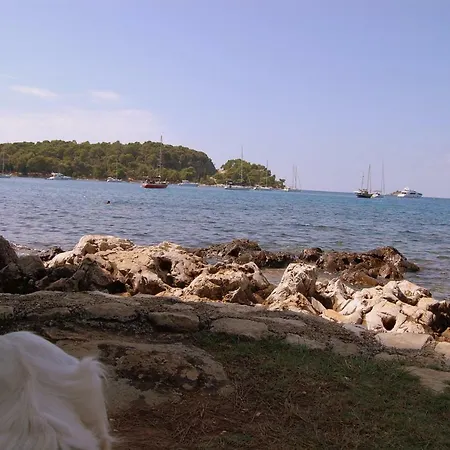 Blue Seaview